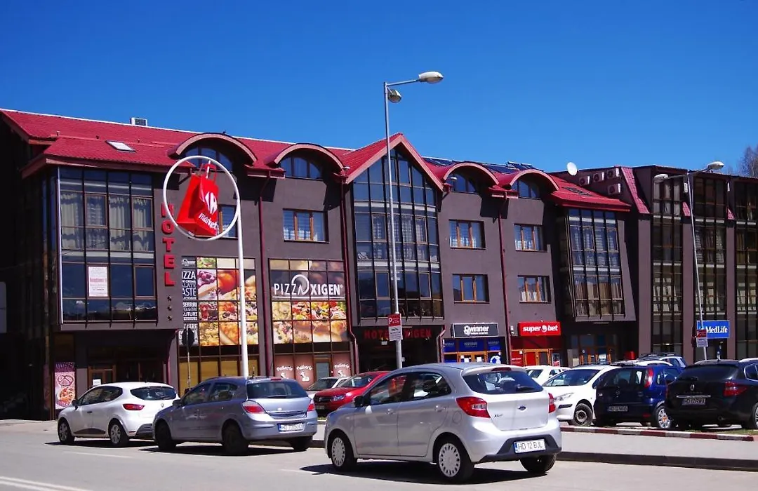 Hotel Oxigen Petrosani-1