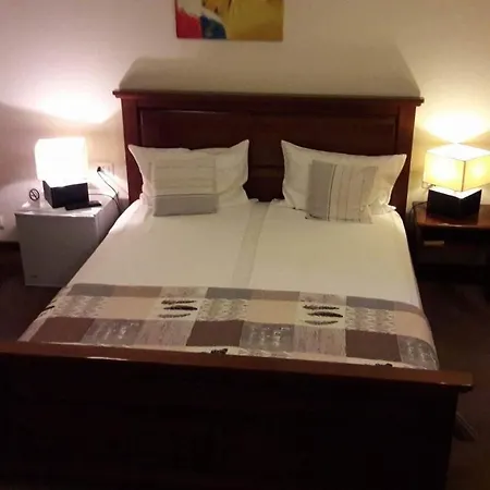 Hotel Oxigen Petrosani-3